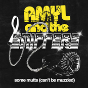 Amyl and The Sniffers: Some Mutts (Can't Be Muzzled)