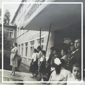 Жить стало лучше, жить стало веселее