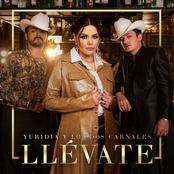 Llévate - Single