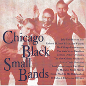 Chicago Black Small Bands
