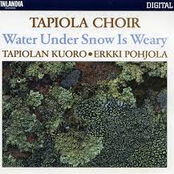 Water Under Snow Is Weary / Vesi väsyy lumen alle