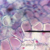 Wasted With You