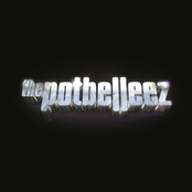 The Potbelleez