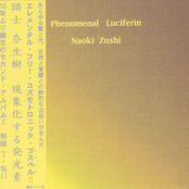 Phenomenal Luciferin [現象化する発光素]