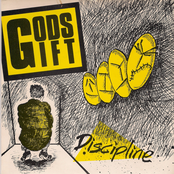 Discipline