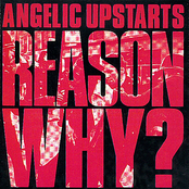 Nobody Was Saved by Angelic Upstarts