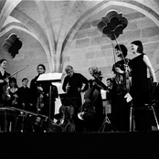 ricercar consort