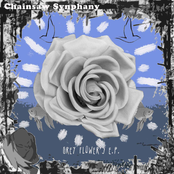 Grey Flower's EP