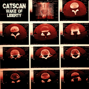 Wake Of Liberty