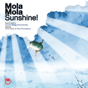 Mola Mola Sunshine