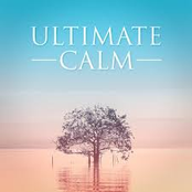 Ultimate Calm (Relaxing Music to Chill Out)