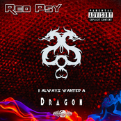 I Always Wanted a Dragon