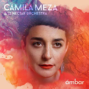 Camila Meza: Ambar