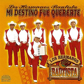 Mi Destino Fue Quererte