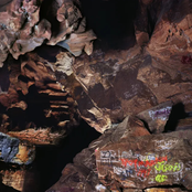 Joseph Decosimo: Beehive Cathedral