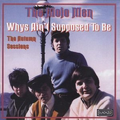 Fire In My Heart by The Mojo Men