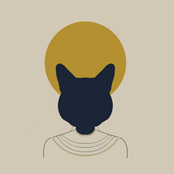 Cool Cat