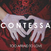 Too Afraid To Love