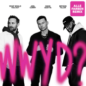 What Would You Do? (feat. Bryson Tiller) [Alle Farben Remix] - Single
