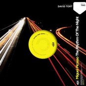 The Rhythm Of The Night