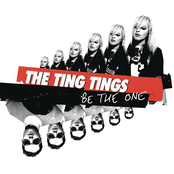 Be The One (bimbo Jones Club Mix) by The Ting Tings