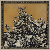 Rape Tape / Рафлезия split