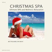 Christmas Spa Music - Christmas Relaxing Spa Classics - Christmas Classical Music and Traditional Christmas Songs for Relaxation - Traditional Christmas Music and Christmas Carols