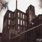 Cycles - Single