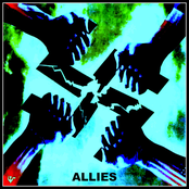 Allies