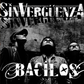 Bacilos: Sinverguenza