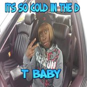 Album cover for Its so Cold in the D, by T Baby