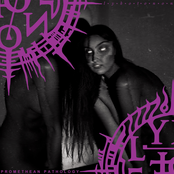 The Primal Principle