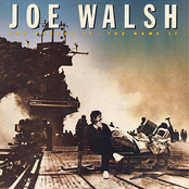 Told You So by Joe Walsh