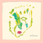 O Que Pensar, Dizer, Sentir, Fazer