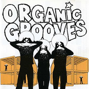 No Risk Of Sexual Side Efx by Organic Grooves