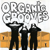 Seashore by Organic Grooves