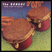 The Bongos: Drums Along the Hudson