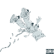 13 Lentes De Um Final Feliz