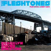 The Fleshtones: Brooklyn Sound Solution