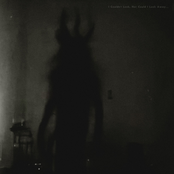 I Couldn't Look, Nor Could I Look Away​.​.​.