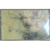 盲目ノカナリア／ピエロ