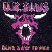 Road Runner by Uk Subs