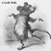 The Hedgerow Big Band