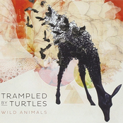 Lucy by Trampled By Turtles