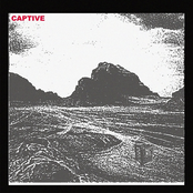 Captive