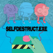 Selfdestruct.Exe