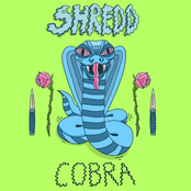 Cobra
