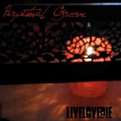 So Much As Goodbye by Perpetual Groove