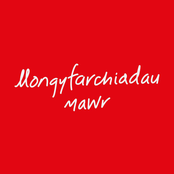 Llongyfarchiadau Mawr