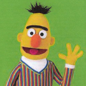 bert